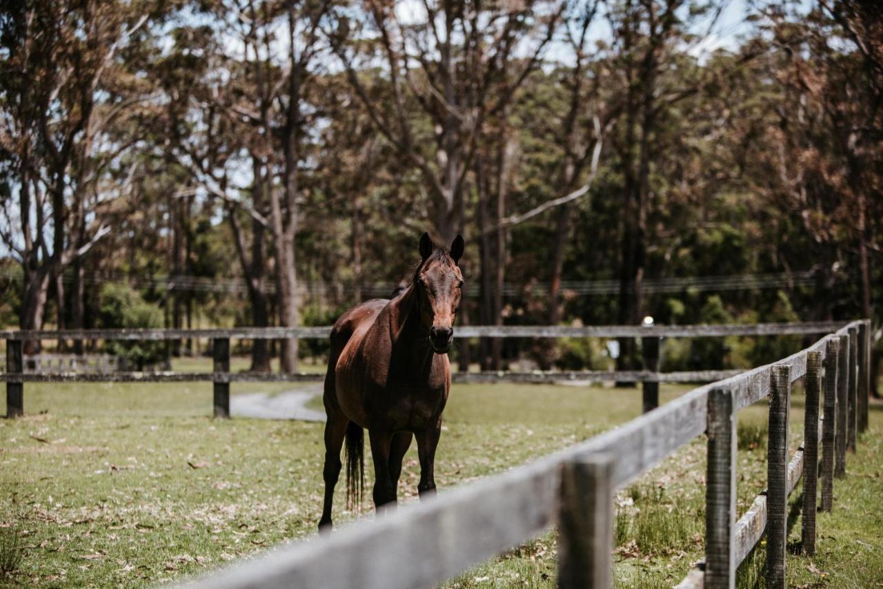 Hotel Worrowing Jervis Bay Huskisson Exteriér fotografie